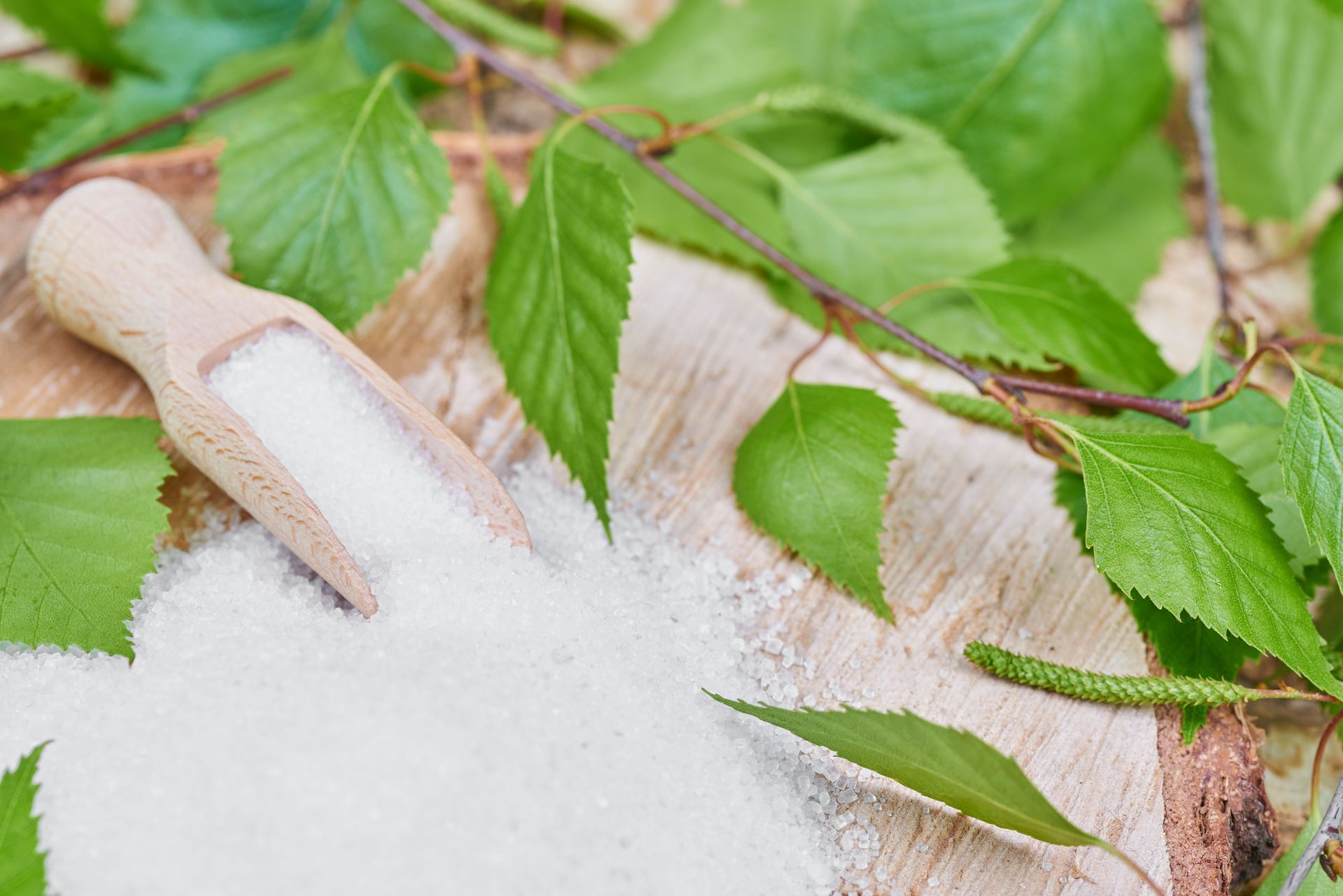 Bio_Xylit_iStock-547145528